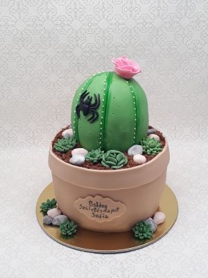 Kaktusz torta