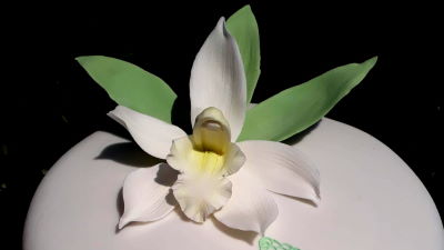Orchidea (cukorvirág, NEM EHETŐ)
