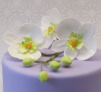 Orchidea (cukorvirág, NEM EHETŐ)