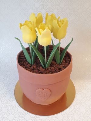 Tulipán torta cserépben