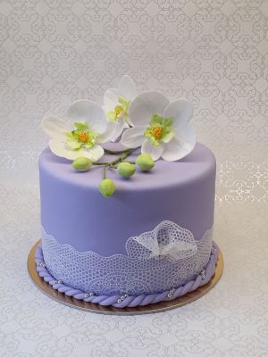 Orchidea torta