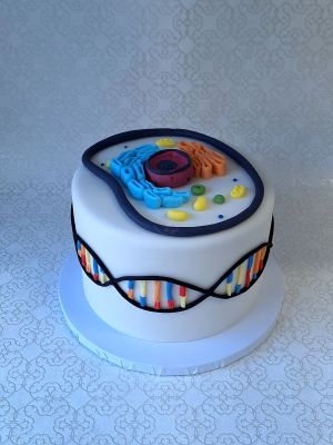 torta